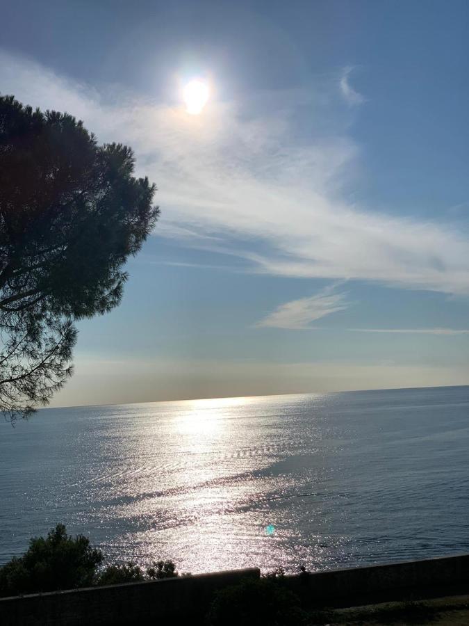 Apartements Sarah * Novigrad Istria