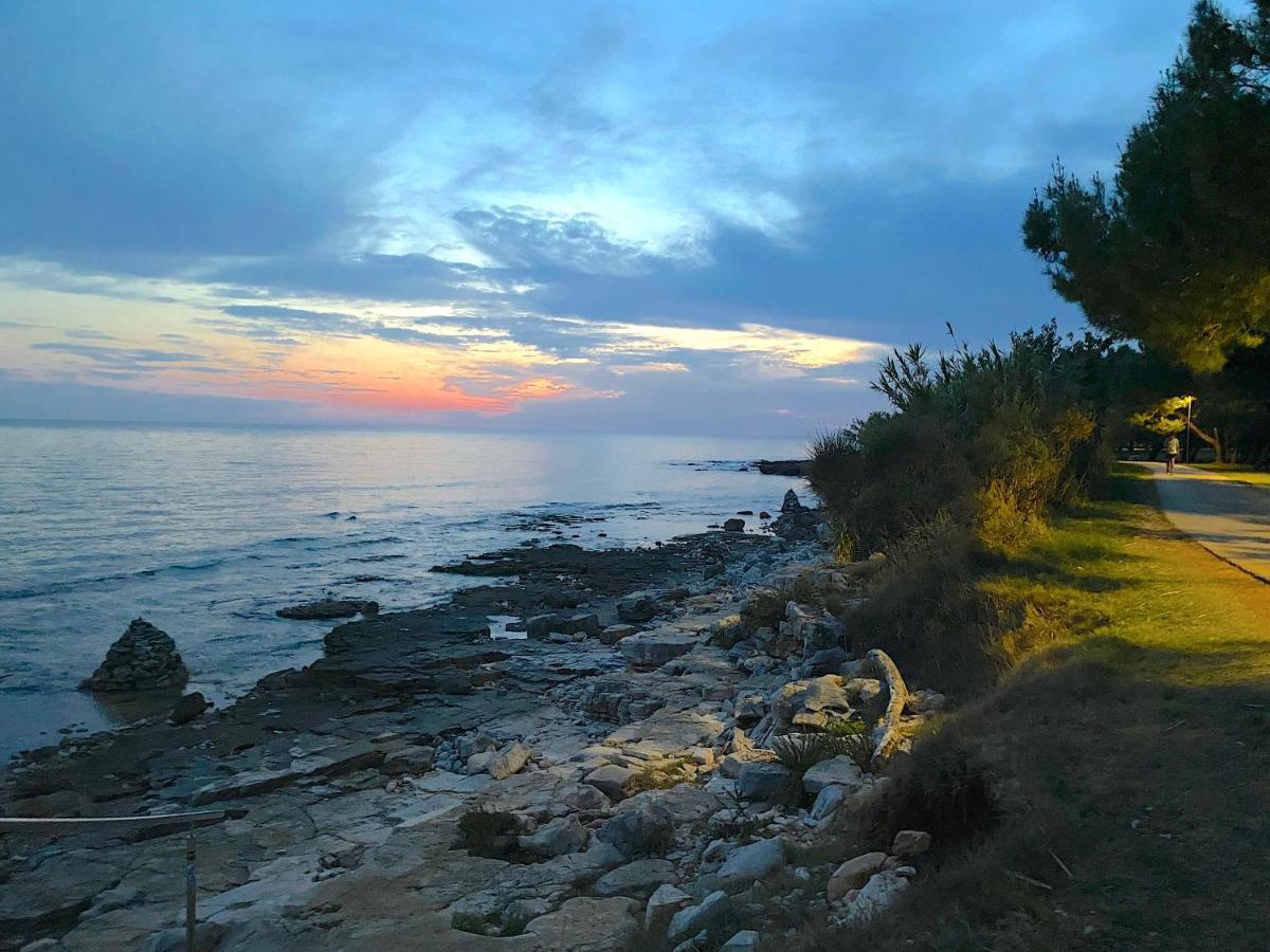 Lägenhet Apartements Sarah Novigrad Istria