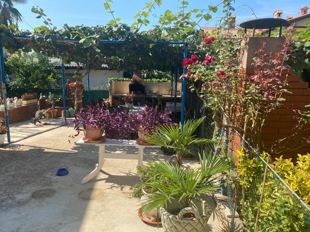 Apartements Sarah Novigrad Istria