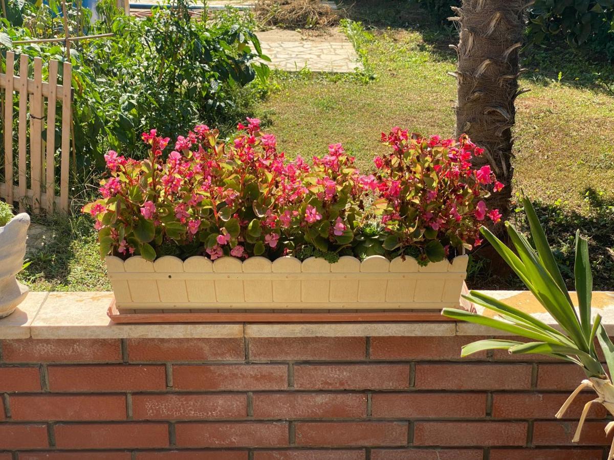 Apartements Sarah Novigrad Istria