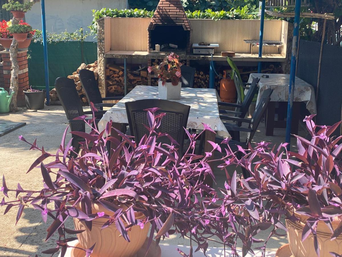 Apartements Sarah * Novigrad Istria