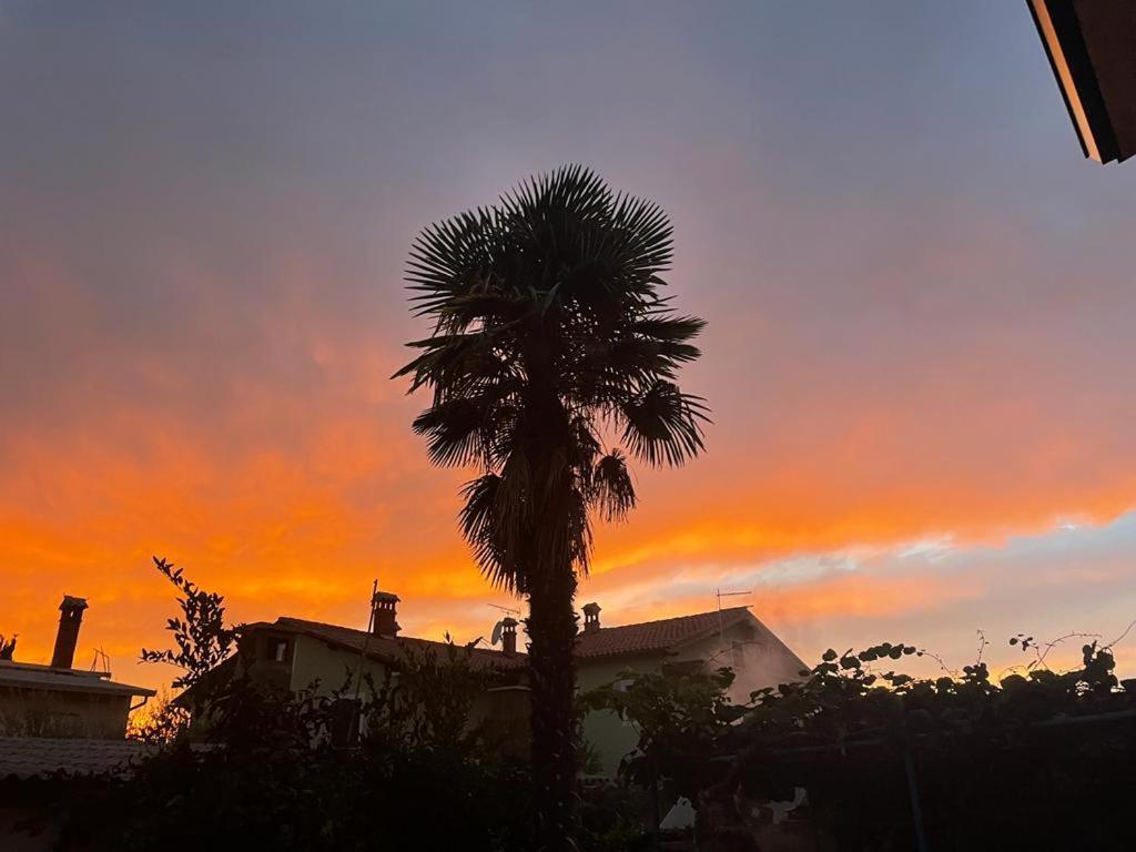 Apartements Sarah * Novigrad Istria